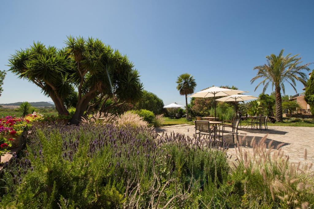 Agroturismo Can Feliu Porreres Exterior photo